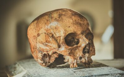 What You Should Know about Voodoo Death