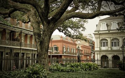 The History And Culture Of Spell Casters In New Orleans